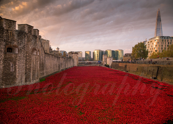 Blood Swept Lands and Seas of Red WW1 Memorial at the Tower