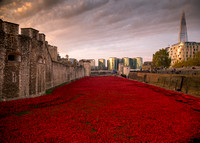 Blood Swept Lands and Seas of Red WW1 Memorial at the Tower